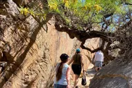 Palm Springs Indian Canyons Jeep and Hiking Tour thumbnail 2