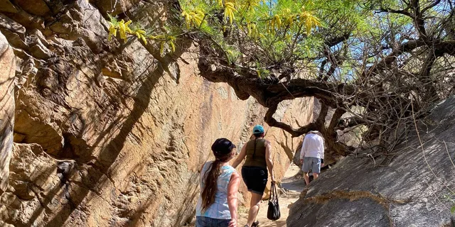 Palm Springs Indian Canyons Jeep and Hiking Tour - Image 2