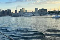 Boston Dinner Cruise with Buffet and Live Music 3 hr thumbnail 1