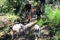 Fairbanks Husky Hiking Tour thumbnail 6