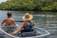Silver Springs Clear Kayak or Paddleboard Tour thumbnail 5