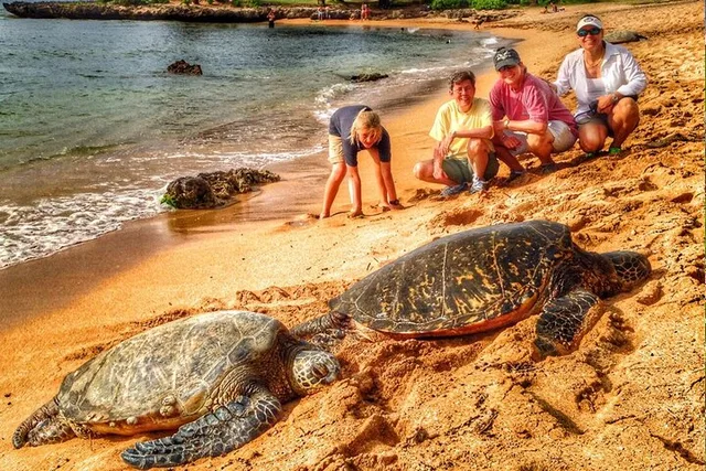 Oahu Sightseeing Tour - Image 3