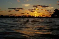 Crystal River Sunset Cruise thumbnail 3