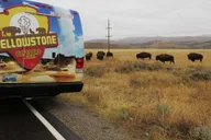 Jackson Grand Teton National Park Full-Day Tour thumbnail 5