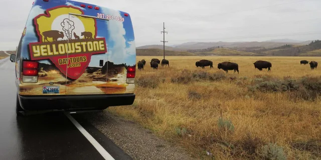 Jackson Grand Teton National Park Full-Day Tour - Image 5