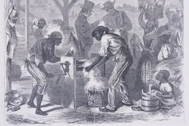 New Orleans History of Slavery Tour - Image 6