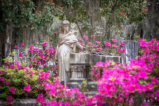 Savannah Cemetery Private Tour 6 hr