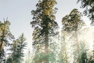 San Francisco to Los Angeles National Parks Tour thumbnail 1