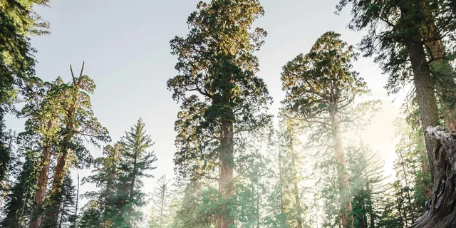 San Francisco to Los Angeles National Parks Tour - Image 1