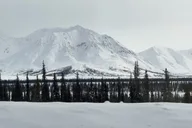Fairbanks Denali National Park Shuttle with Photography thumbnail 6