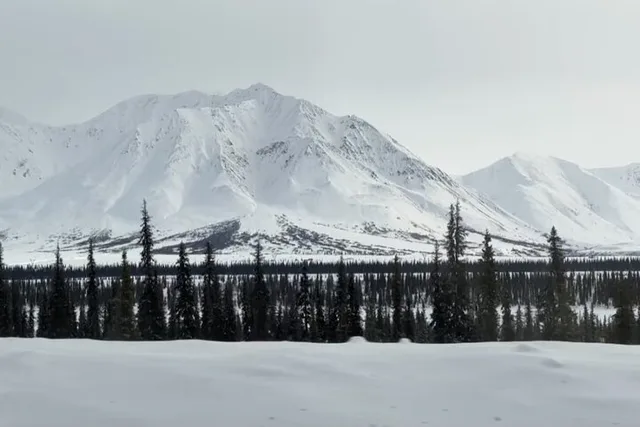 Fairbanks Denali National Park Shuttle with Photography - Image 6