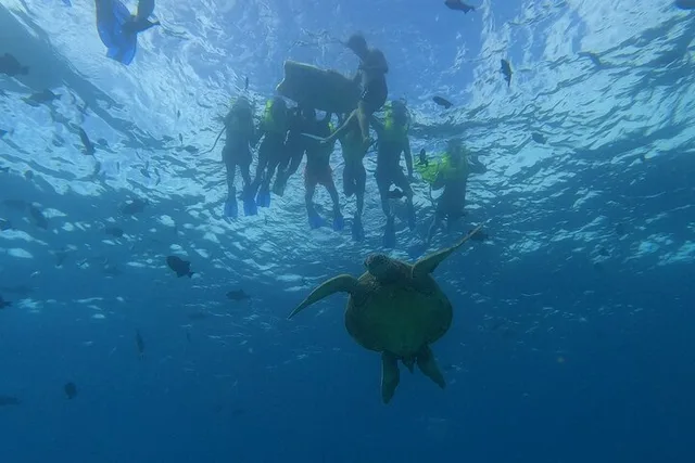 Oahu Snorkeling Adventure with Turtle and Water Scooter - Image 4