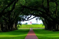 New Orleans Oak Alley Plantation Tour thumbnail 3