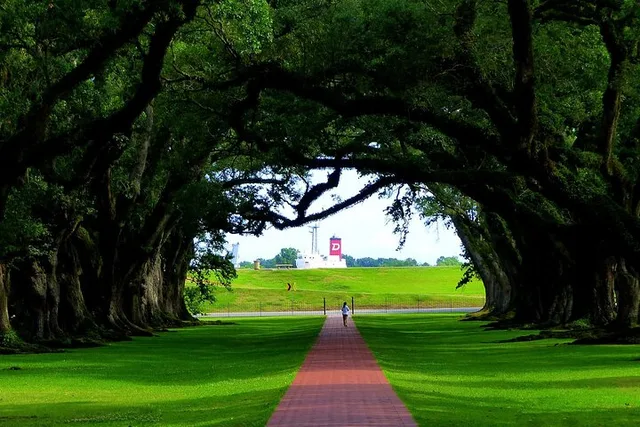 New Orleans Oak Alley Plantation Tour - Image 3