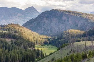 Yellowstone Garnet Hill Loop Naturalist Hike