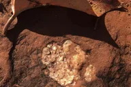 Sedona Vortex Yoga Hiking Tour 3.5 hr thumbnail 6