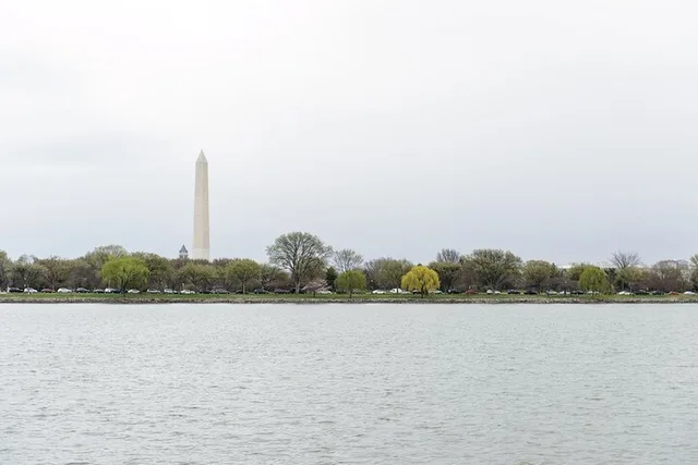 Washington DC Water Taxi Pass - Image 4
