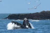Point Reyes Natural Wonders and Redwoods Tour thumbnail 2
