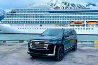Seward Cruise Transit Tour with National Park thumbnail 1