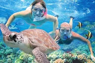 Kauai Shore Snorkel in South Poipu 2 hr thumbnail 4