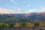 Napa Private Transportation thumbnail 2