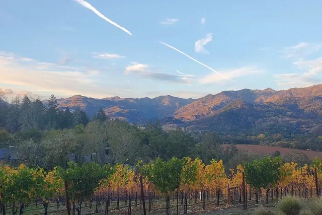 Napa Private Transportation - Image 2
