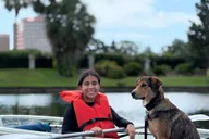 Orlando Paddle with Your Pup Adventure thumbnail 2