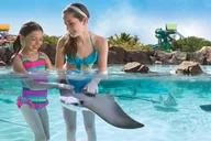 San Antonio Aquatica Park Admission thumbnail 5