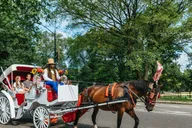 New York City Nighttime Carriage Ride Central Park and Rockefeller Center thumbnail 2