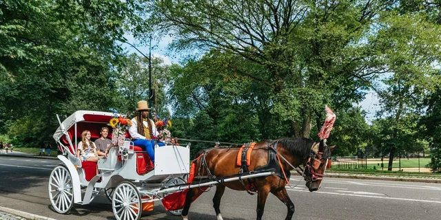 New York City Nighttime Carriage Ride Central Park and Rockefeller Center - Image 2