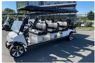 New York Sightseeing Tour in a Golf Cart