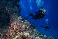 Lanai Cathedral Scuba Dive Via Boat thumbnail 5