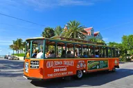 Key West Private Tour from Miami thumbnail 4