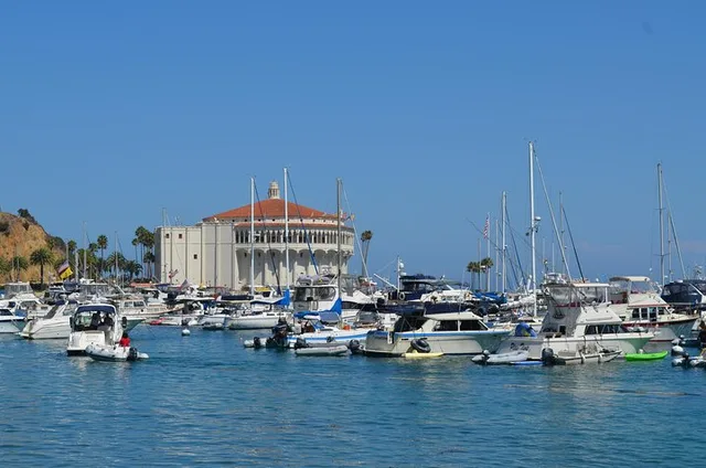 Catalina Island Avalon Scenic Tour - Image 3