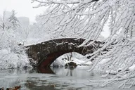 NYC Central Park Scavenger Hunt & Audio Tour thumbnail 4