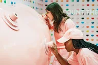 Chicago Museum of Ice Cream Tour thumbnail 4