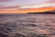 Santa Barbara Private Coastal Cruise at Sunset 2 hr thumbnail 5