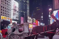 New York Central Park Christmas Lights Carriage Ride 45 min thumbnail 1