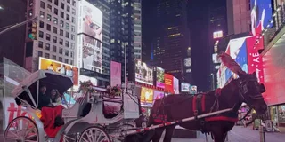 New York Central Park Christmas Lights Carriage Ride 45 min
