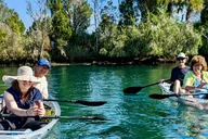 Crystal River Clear Kayak Manatee and Springs Tour thumbnail 1