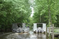 Marrero Swamp and Bayou Boat Tour 90 Min thumbnail 2
