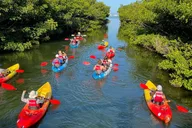 Sarasota Kayak Paddling Experience thumbnail 1