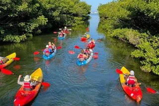Sarasota Kayak Paddling Experience