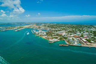 Key West Dolphin Safari Private Charter 4 hr