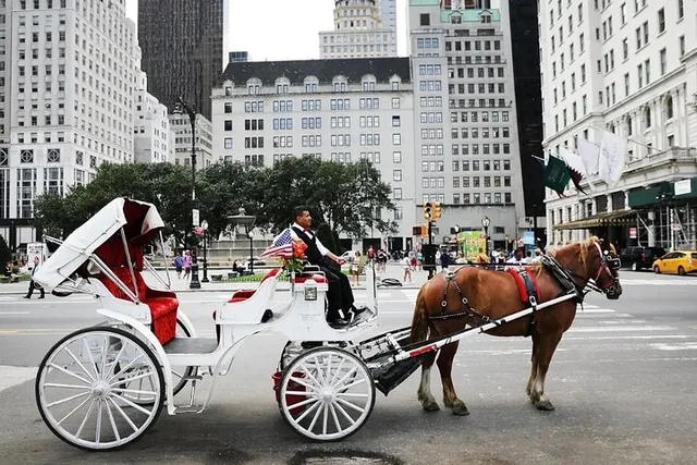 New York City Horse Carriage Ride in Central Park - Image 1