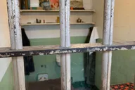 San Francisco Alcatraz, Muir Woods, and Sausalito Tour thumbnail 5