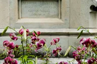 Atlanta Food and Cemetery Tour 2.5 hr thumbnail 4