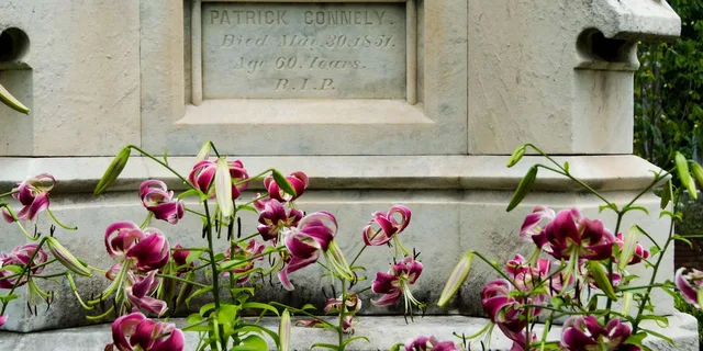 Atlanta Food and Cemetery Tour 2.5 hr - Image 4