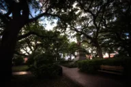 Savannah Ghost Tour thumbnail 5