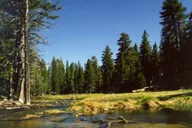 Palm Springs Aerial Tramway thumbnail 5